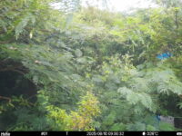 Aug 10 2025  9:00:32, #01
