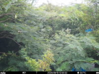 Aug 10 2025 12:00:32, #01