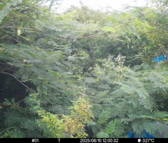 Aug 10 2025 12:00:32, #01