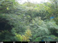 Aug 10 2025 15:00:31, #01