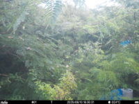 Aug 10 2025 18:00:31, #01