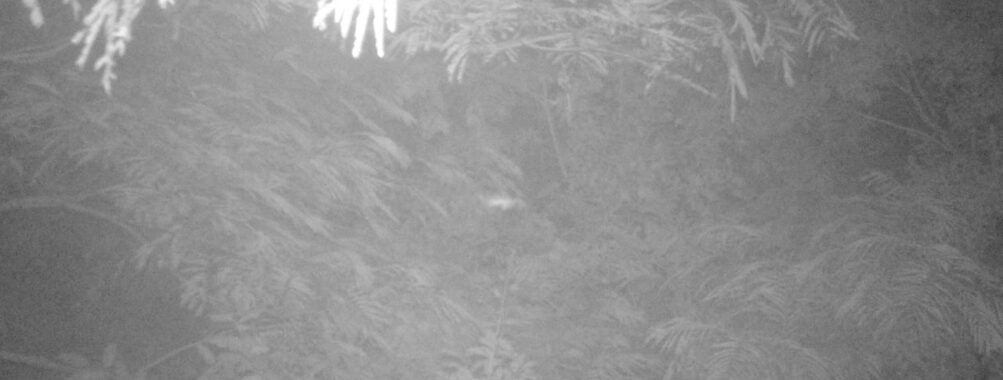 Aug 11 2025  3:00:30, #01