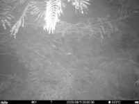 Aug 11 2025  3:00:30, #01