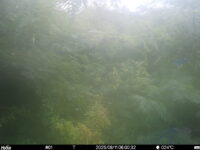 Aug 11 2025  6:00:32, #01