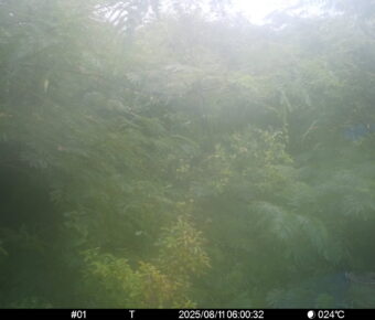 Aug 11 2025  6:00:32, #01