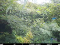 Aug 11 2025  9:00:31, #01