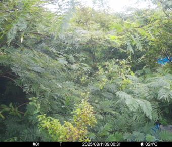 Aug 11 2025  9:00:31, #01