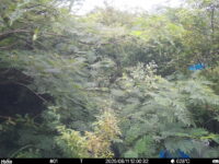 Aug 11 2025 12:00:32, #01