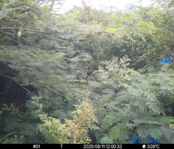 Aug 11 2025 12:00:32, #01