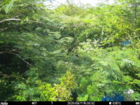 Aug 11 2025 15:00:32, #01