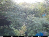Aug 11 2025 18:00:31, #01