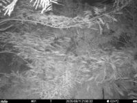 Aug 11 2025 21:00:32, #01