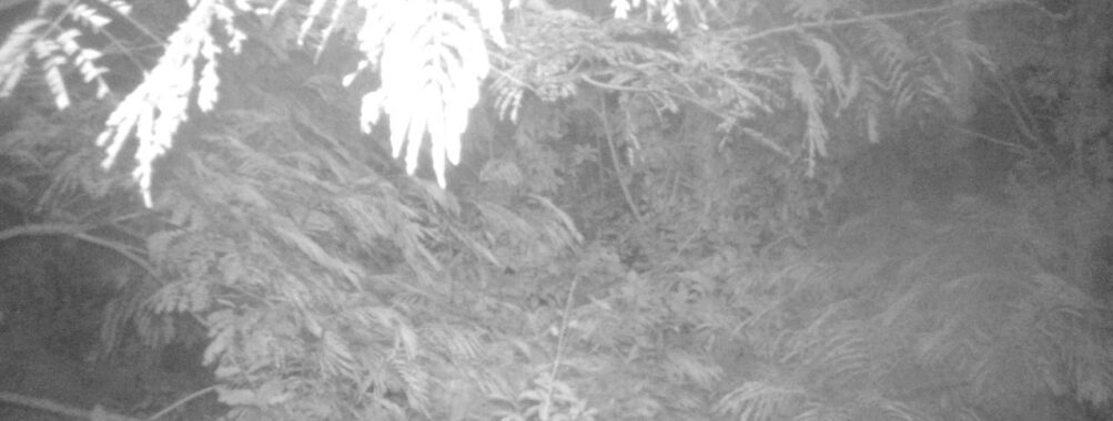 Aug 12 2025  3:00:30, #01