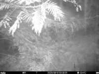 Aug 12 2025  3:00:30, #01