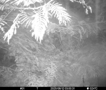 Aug 12 2025  3:00:30, #01