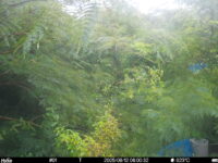 Aug 12 2025  6:00:32, #01