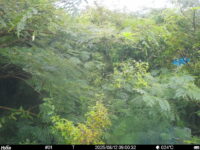 Aug 12 2025  9:00:32, #01