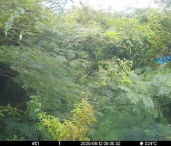 Aug 12 2025  9:00:32, #01