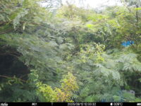 Aug 12 2025 12:00:32, #01