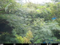 Aug 12 2025 15:00:32, #01