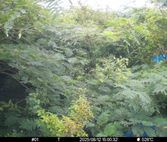 Aug 12 2025 15:00:32, #01