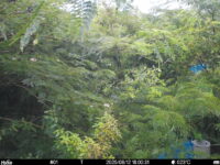 Aug 12 2025 18:00:31, #01