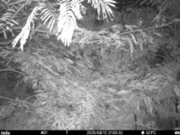 Aug 12 2025 21:00:32, #01