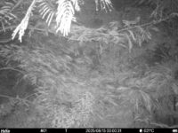 Aug 13 2025  0:00:31, #01