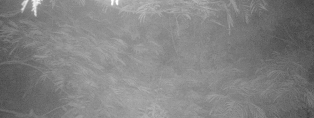 Aug 13 2025  3:00:30, #01