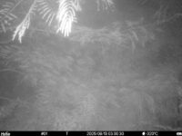 Aug 13 2025  3:00:30, #01