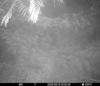 Aug 13 2025  3:00:30, #01