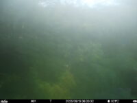 Aug 13 2025  6:00:32, #01