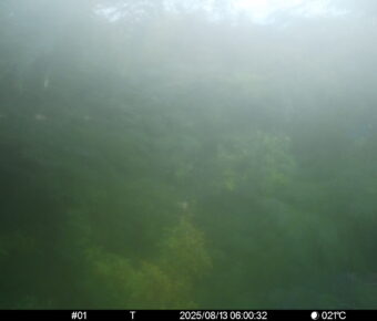 Aug 13 2025  6:00:32, #01