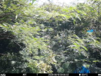 Aug 13 2025  9:00:31, #01