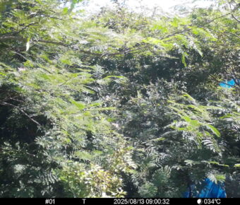 Aug 13 2025  9:00:31, #01