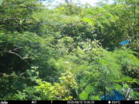 Aug 13 2025 12:00:30, #01