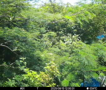 Aug 13 2025 12:00:30, #01