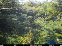 Aug 13 2025 15:00:31, #01