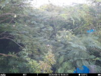 Aug 13 2025 18:00:31, #01