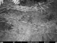 Aug 13 2025 21:00:31, #01