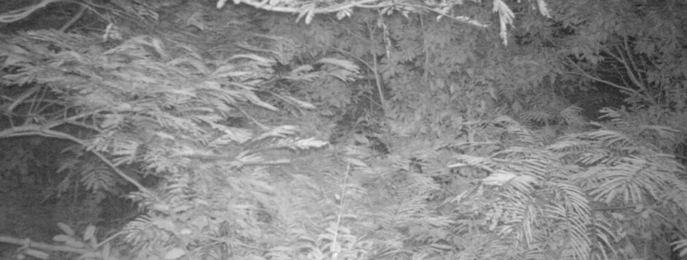 Aug 14 2025  3:00:30, #01