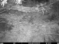 Aug 14 2025  3:00:30, #01