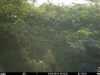 Aug 14 2025  6:00:31, #01