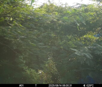 Aug 14 2025  6:00:31, #01