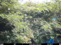 Aug 14 2025  9:00:31, #01