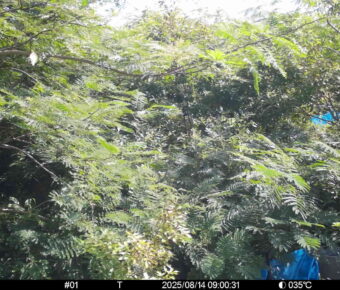 Aug 14 2025  9:00:31, #01