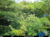 Aug 14 2025 12:00:32, #01