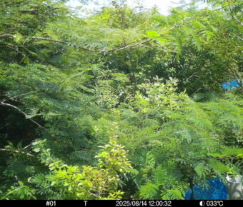 Aug 14 2025 12:00:32, #01