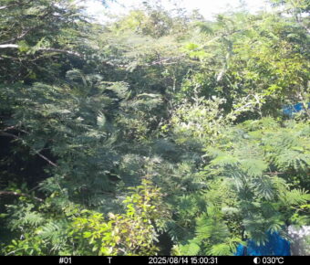 Aug 14 2025 15:00:31, #01