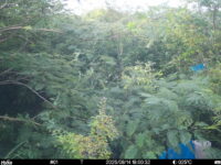 Aug 14 2025 18:00:31, #01